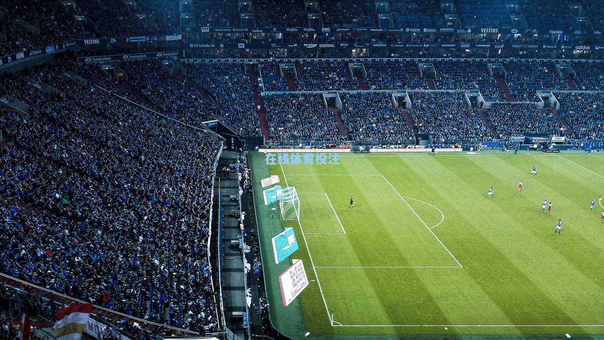 中国击剑俱乐部联赛十周年,梦想与汗水铸就的成长之路